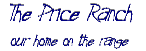 Title.gif (3880 bytes)
