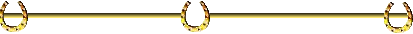 goldshoeln.gif (2321 bytes)
